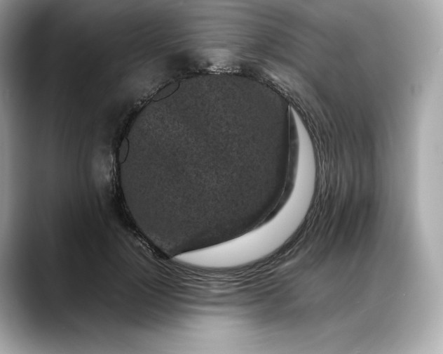 X0000088360748200706051023