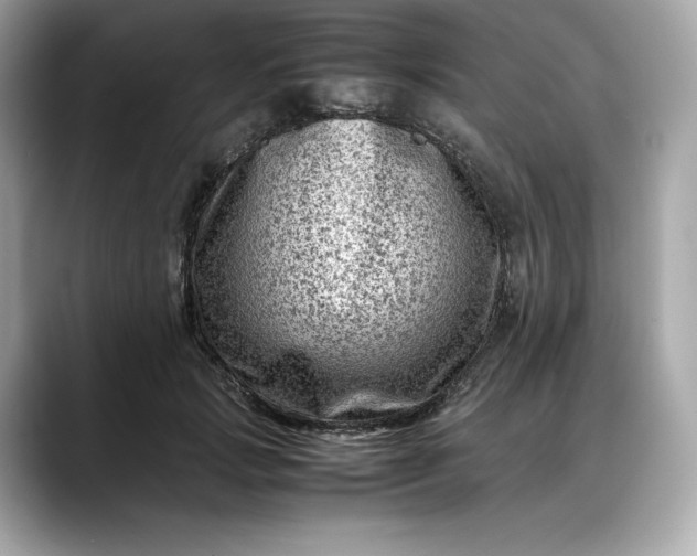 X0000088360749200706051023