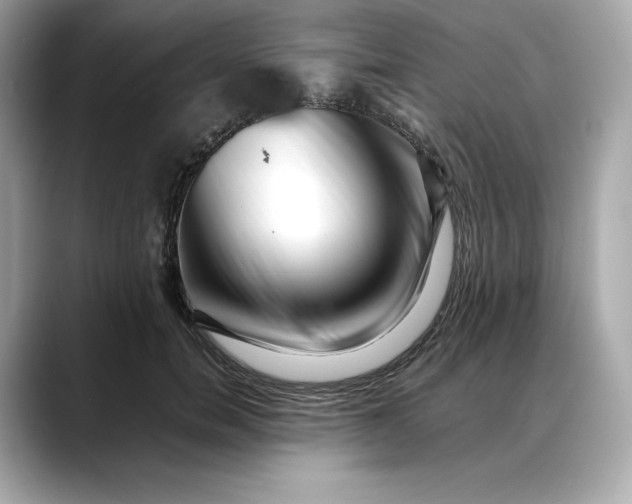 X0000088360750200706051023