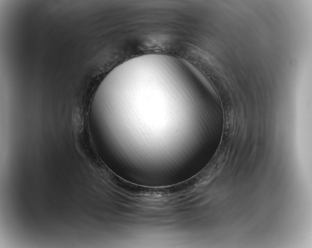 X0000088360751200706051023