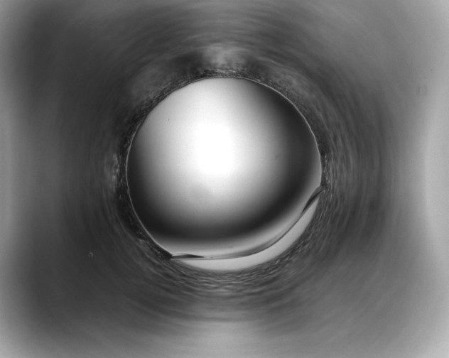 X0000088360752200706051023