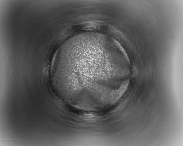 X0000088360753200706051023