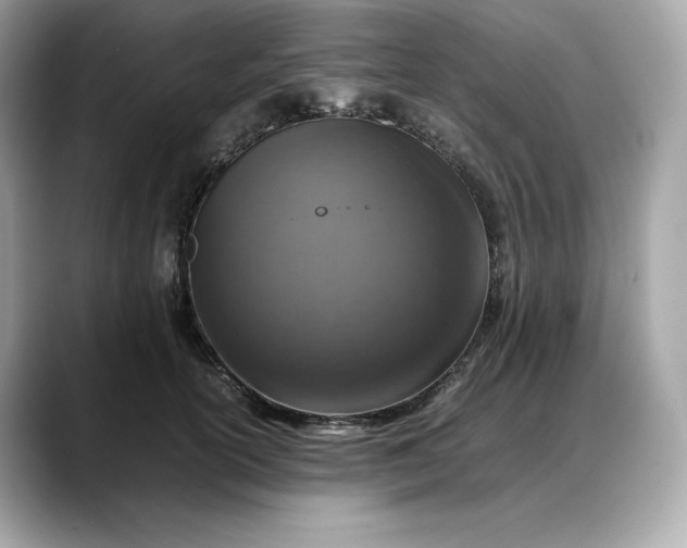 X0000088360754200706051023