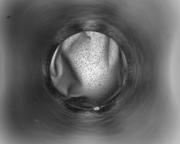 X0000088360755200706051023