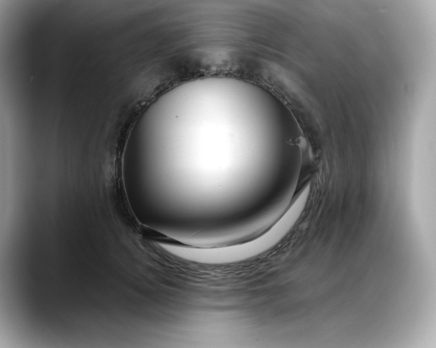 X0000088360756200706051023