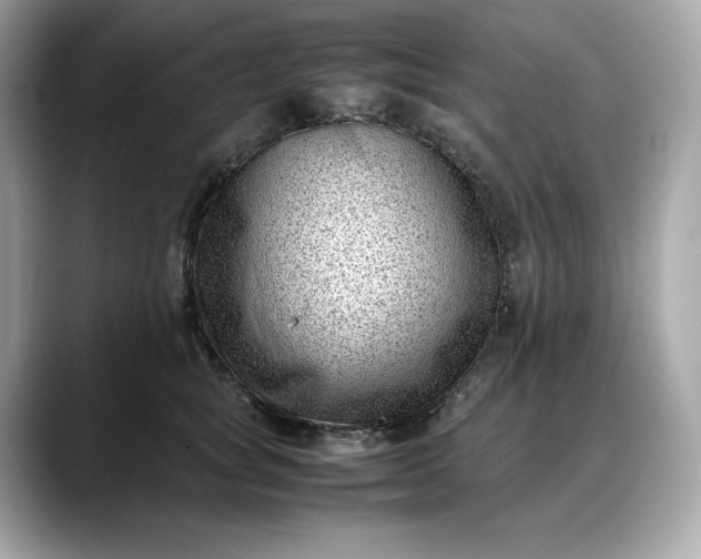 X0000088360757200706051023