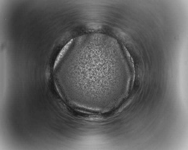 X0000088360758200706051023