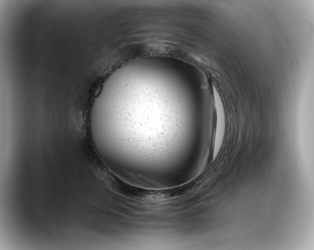 X0000088360759200706051023