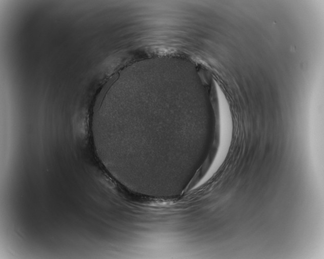 X0000088360760200706051023