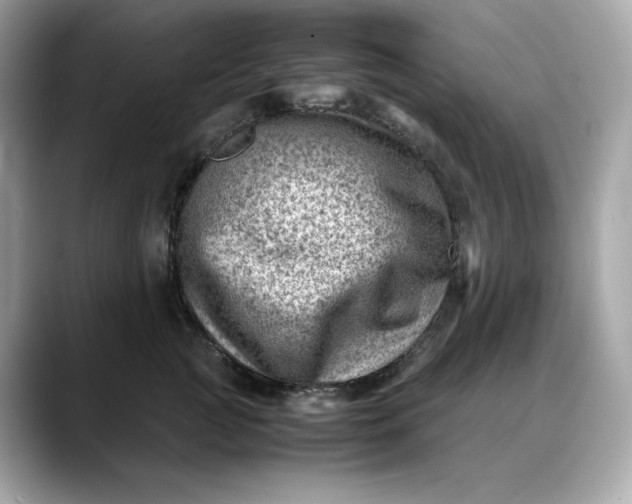 X0000088360761200706051023