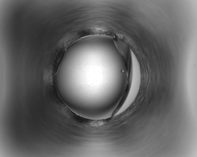 X0000088360762200706051023