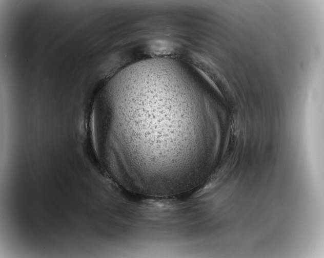 X0000088360763200706051023