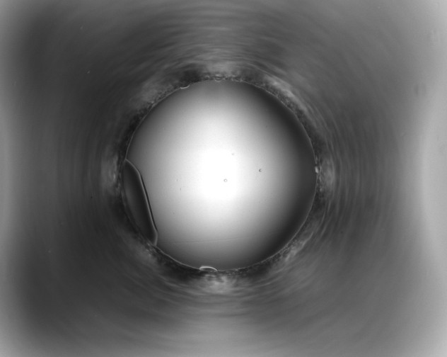 X0000088360764200706051023