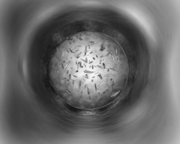 X0000088360765200706051023