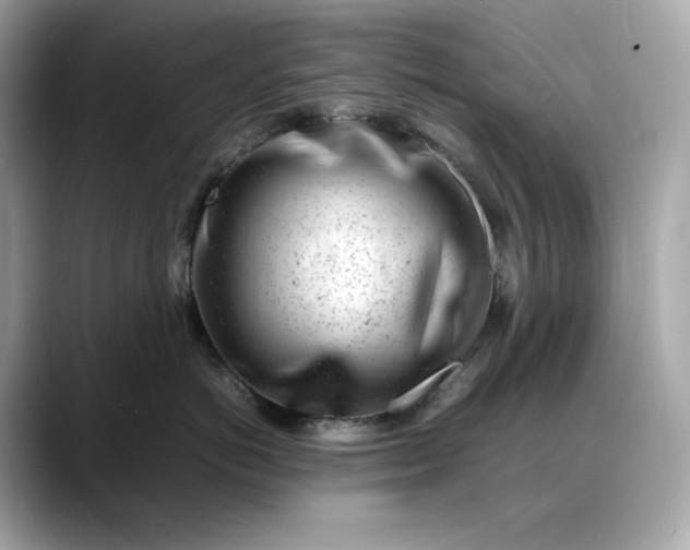 X0000088360766200706051023