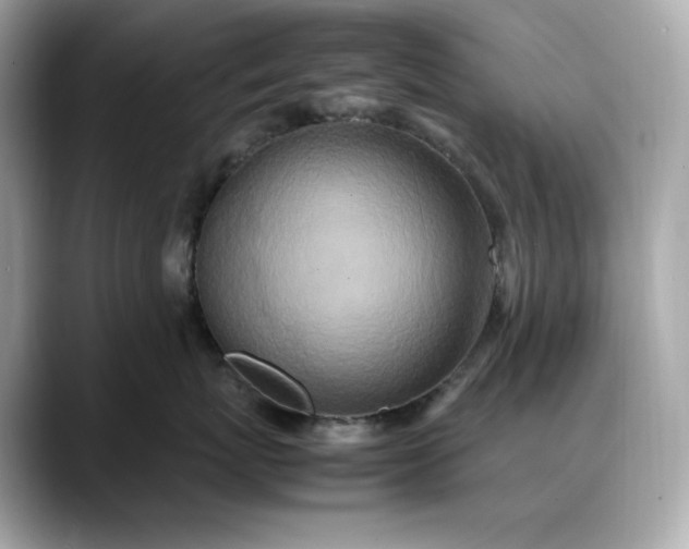 X0000088360767200706051023