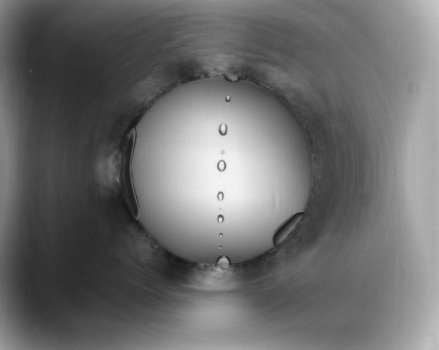 X0000088360768200706051023