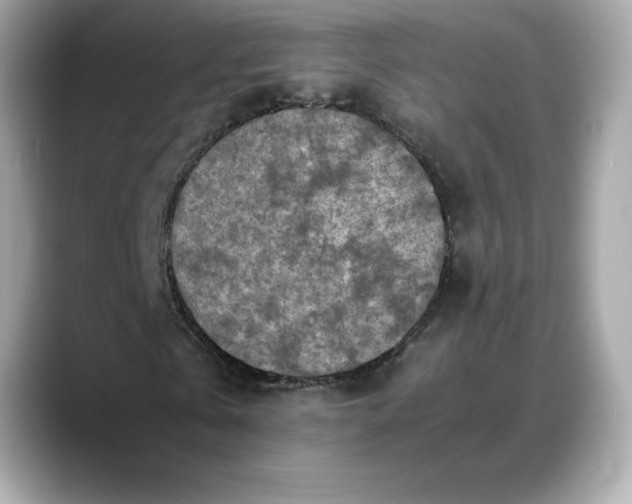 X0000088360769200706051023