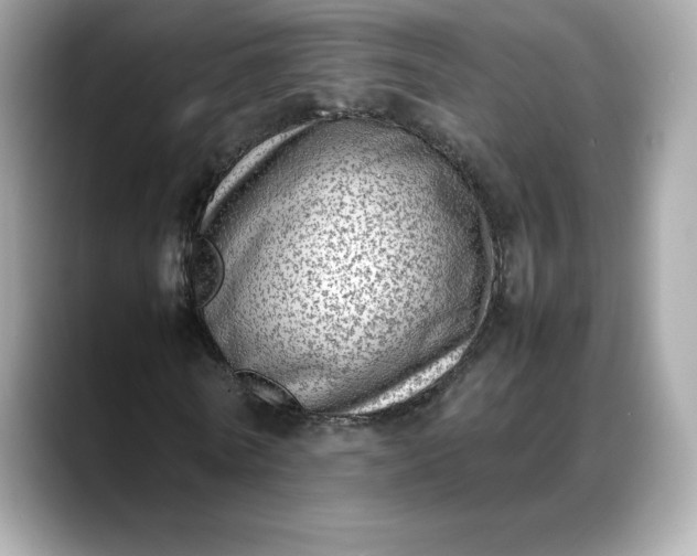 X0000088360770200706051023