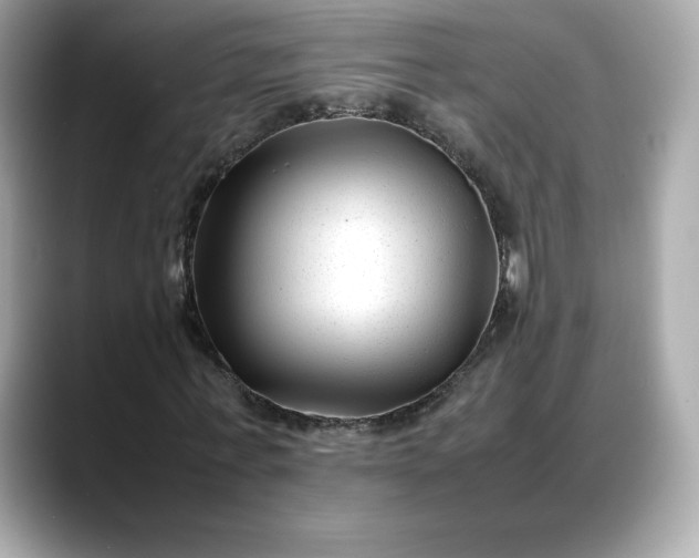 X0000088360771200706051022