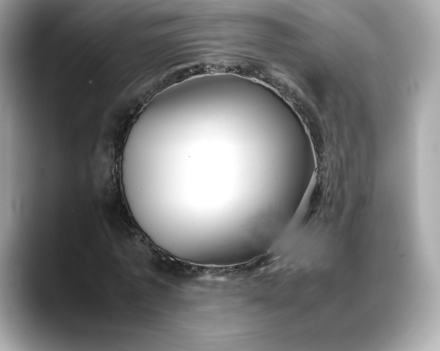 X0000088360773200706051022