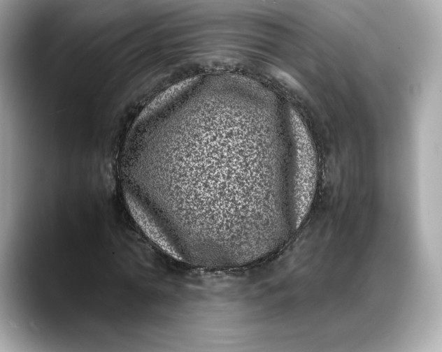 X0000088360774200706051022