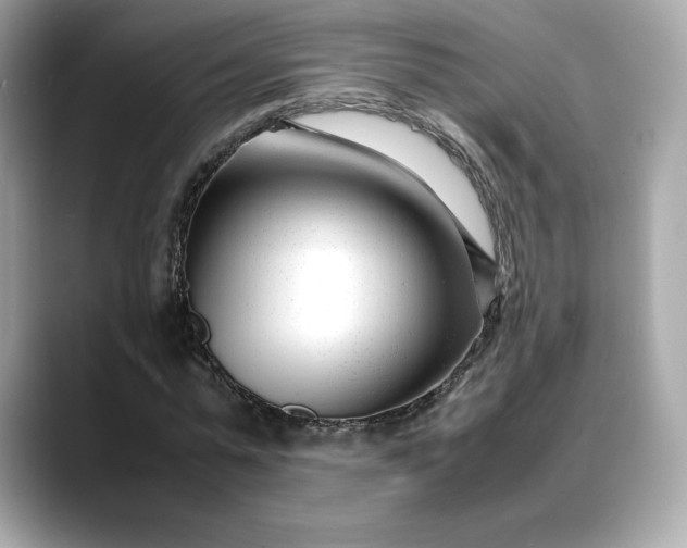 X0000088360775200706051022