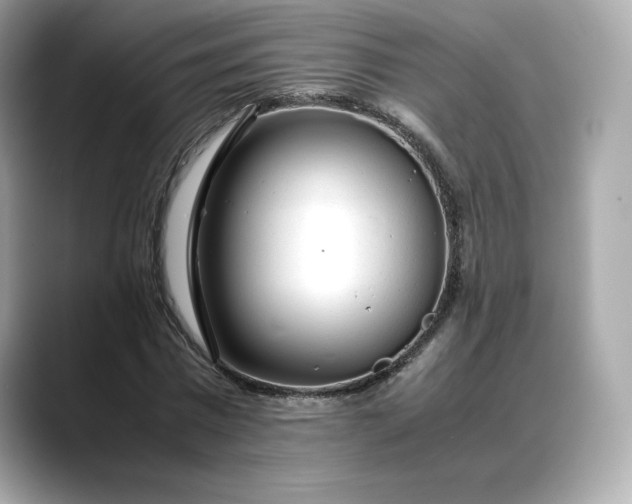 X0000088360777200706051022