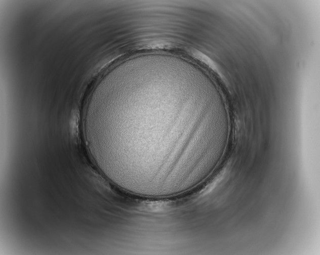 X0000088360778200706051022