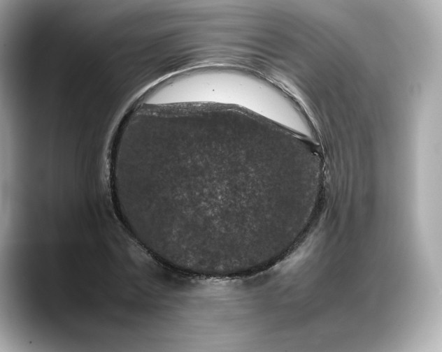 X0000088360779200706051022