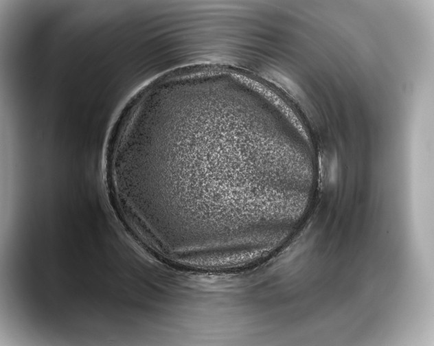 X0000088360780200706051022