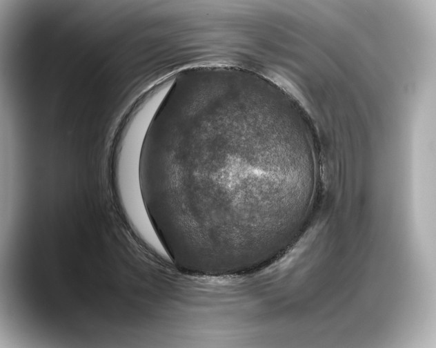 X0000088360781200706051022