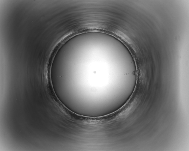 X0000088360782200706051022