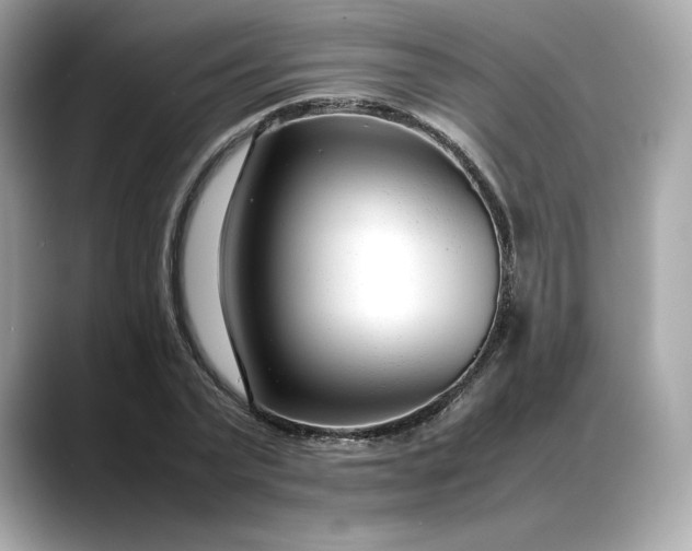 X0000088360783200706051022