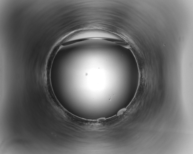 X0000088360784200706051022