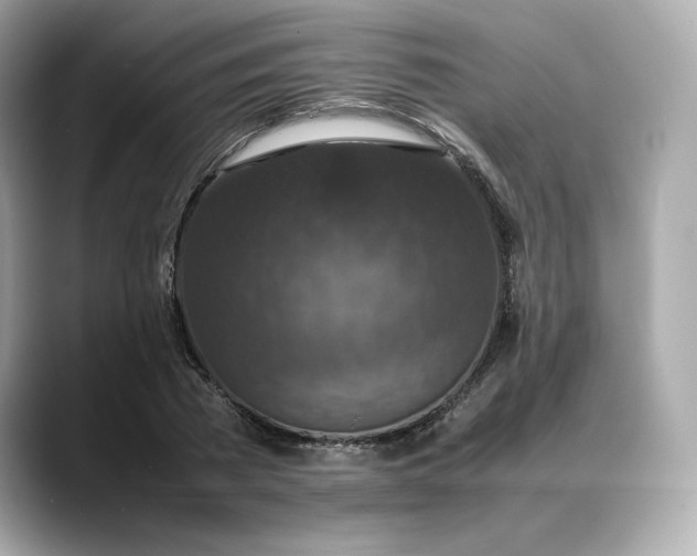 X0000088360785200706051022