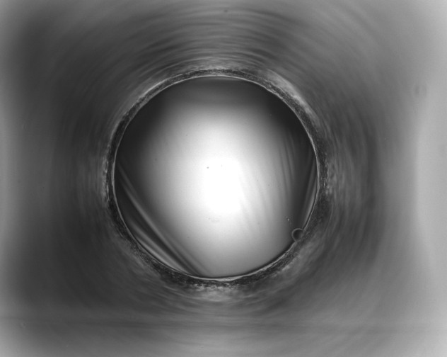 X0000088360786200706051022