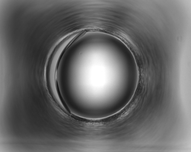 X0000088360788200706051022