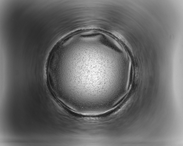 X0000088360789200706051022