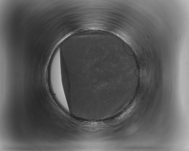 X0000088360790200706051022