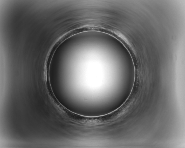 X0000088360791200706051022