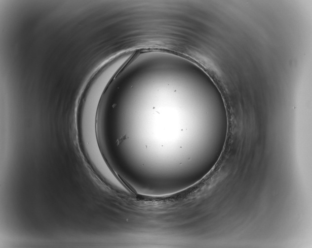 X0000088360792200706051022