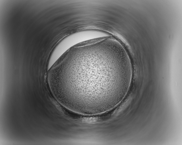 X0000088360793200706051022