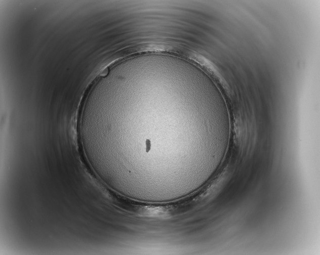 X0000088360794200706051022