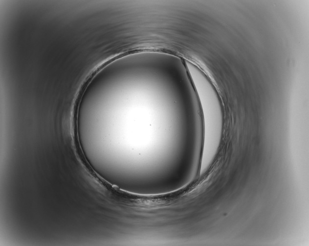 X0000088360795200706051022