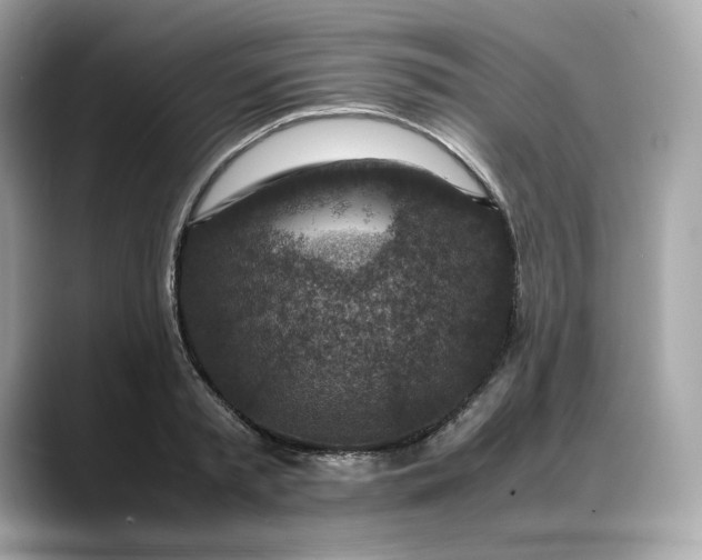 X0000088360797200706051022