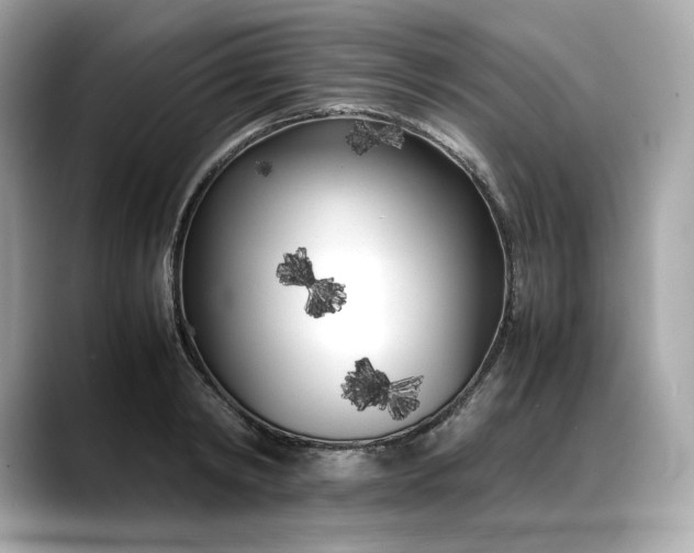 X0000088360798200706051022