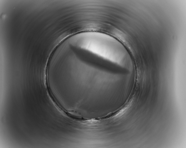 X0000088360802200706051022