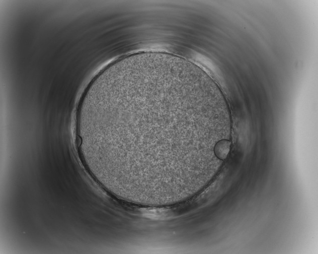 X0000088360804200706051022