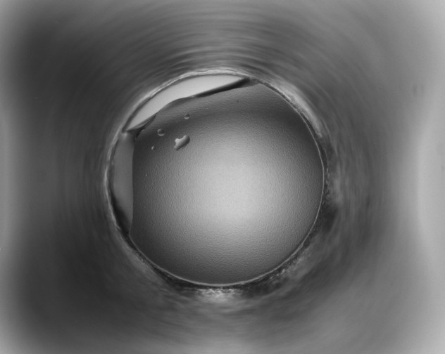 X0000088360805200706051022